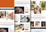 design custom klaviyo email template with flows setup